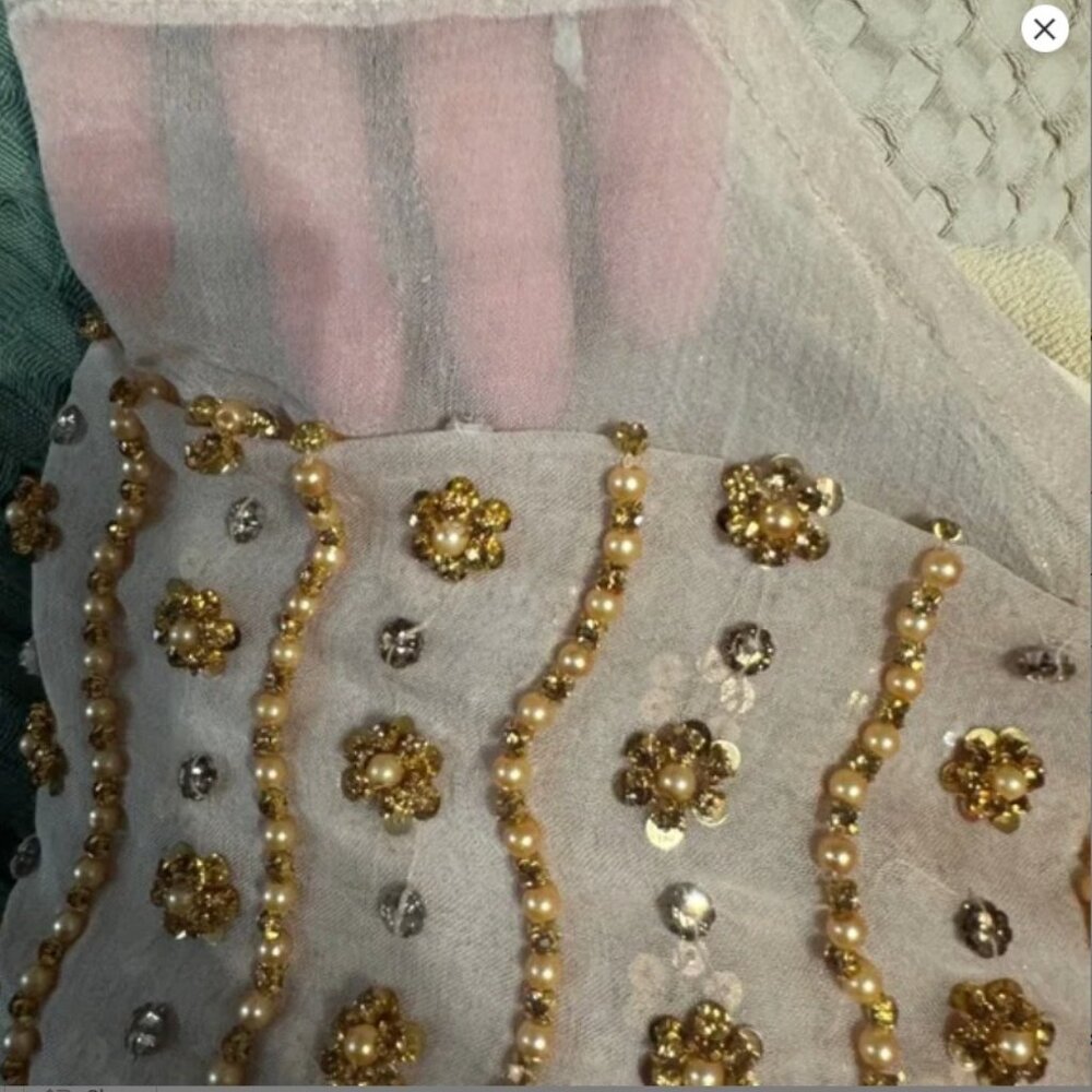 Hand Embroidered Beige Chiffon Saree / Sari with heavy sequence work - Picture 6 of 11
